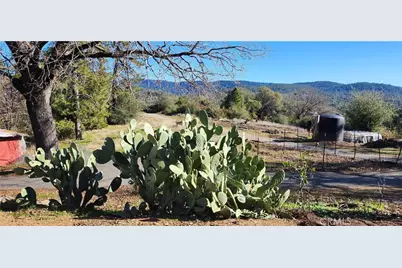 238 Elams Ranch Road, Oroville, CA 95966 - Photo 63