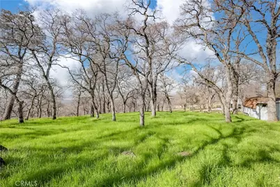 211 Sunny Hills Road, Bangor, CA 95901 - Photo 59