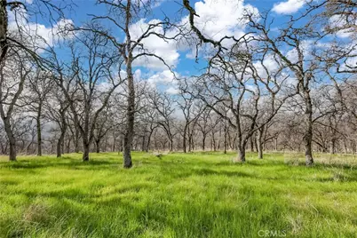 211 Sunny Hills Road, Bangor, CA 95901 - Photo 61