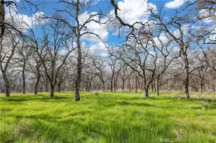 211 Sunny Hills Rd, Bangor, CA 95901 - Photo 61