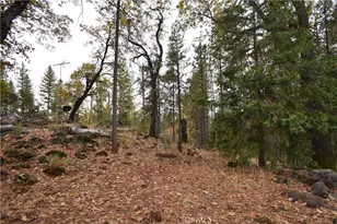 233 Renegade Rd, Oroville, CA 95966 - Photo 35