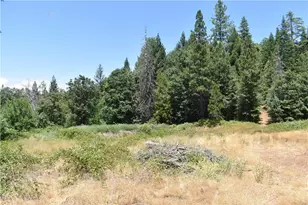 11605 La Porte Rd, Challenge, CA 95925 - Photo 13