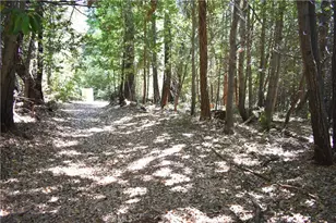 11605 La Porte Rd, Challenge, CA 95925 - Photo 43