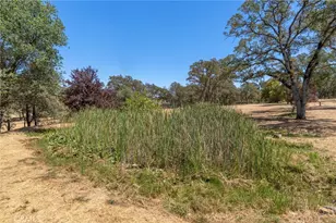 11751 Dori Ct, Marysville, CA 95901 - Photo 63