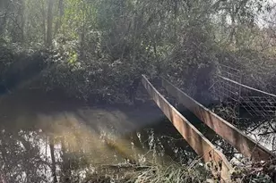 7136 Upper Palermo Rd, Palermo, CA 95968 - Photo 23