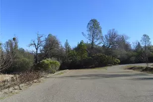 13376 Rue Montaigne, Oregon House, CA 95962 - Photo 39