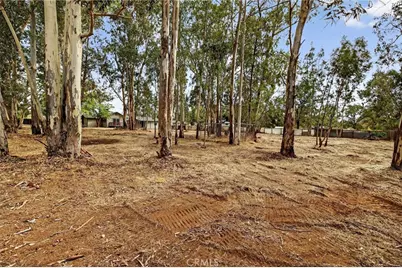 7040 Fulton, Palermo, CA 95968 - Photo 43