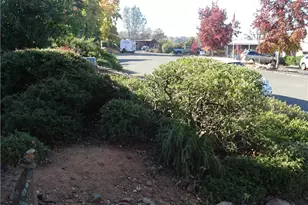 8 Rosebud Ct, Oroville, CA 95966 - Photo 43