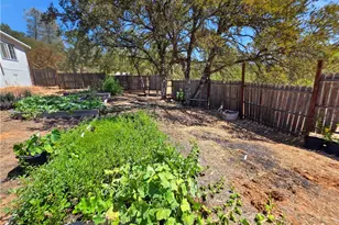 4 Sunrise Hill, Bangor, CA 95966 - Photo 11