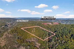 15001 Culiacan Ct, Forest Ranch, CA 95942 - Photo 65