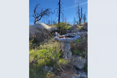 161 Shadow Creek Road, Berry Creek, CA 95916 - Photo 5