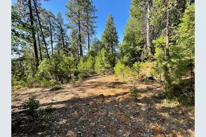 0 Forbestown, Challenge, CA 95925 - Photo 1