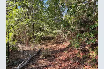 0 Forbestown, Challenge, CA 95925 - Photo 7