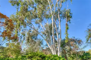 3570 Olive Hwy, Oroville, CA 95966 - Photo 101