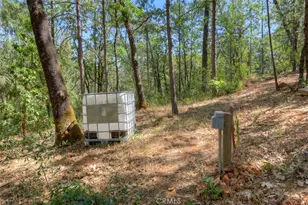 12896 Rices Crossing Rd, Oregon House, CA 95962 - Photo 53