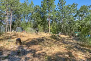 12896 Rices Crossing Rd, Oregon House, CA 95962 - Photo 45
