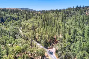 12896 Rices Crossing Rd, Oregon House, CA 95962 - Photo 55