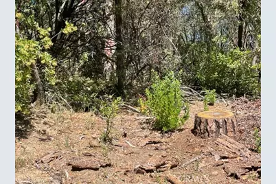 10 Broken Springs, Oroville, CA 95966 - Photo 3