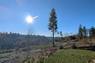 1658 Jaramillo, Paradise, CA 95969 - Photo 45