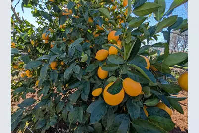 1658 Jaramillo, Paradise, CA 95969 - Photo 49