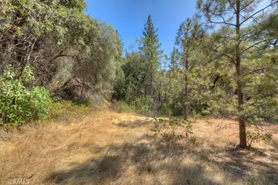 8700 Oro Quincy, Berry Creek, CA 95916 - Photo 1