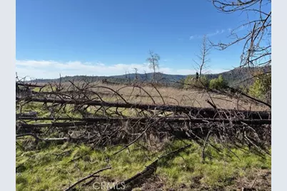 8870 Oro Quincy, Berry Creek, CA 95916 - Photo 7