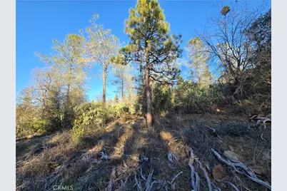 0 Double Eagle Way, Brownsville, CA 95919 - Photo 29