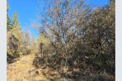 0 Double Eagle Way, Brownsville, CA 95919 - Photo 25