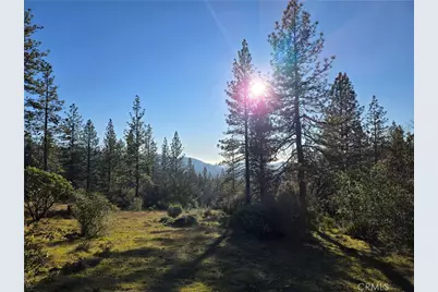 0 Double Eagle Way, Brownsville, CA 95919 - Photo 13