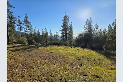 0 Double Eagle Way, Brownsville, CA 95919 - Photo 11