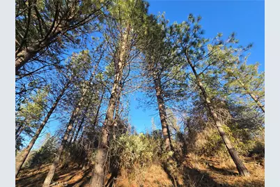 0 Double Eagle Way, Brownsville, CA 95919 - Photo 27