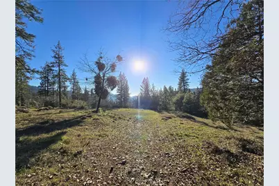 0 Double Eagle Way, Brownsville, CA 95919 - Photo 9