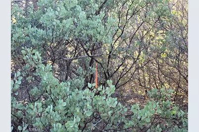 0 Double Eagle Way, Brownsville, CA 95919 - Photo 23