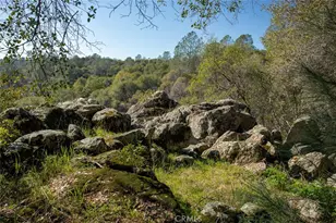 1718 Robinson Mill Rd, Bangor, CA 95914 - Photo 63