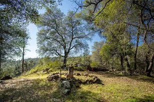 1718 Robinson Mill Rd, Bangor, CA 95914 - Photo 39