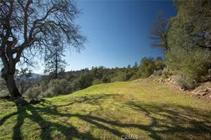 1718 Robinson Mill Rd, Bangor, CA 95914 - Photo 55