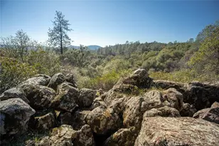 1718 Robinson Mill Rd, Bangor, CA 95914 - Photo 65