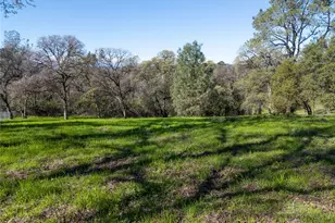 210 Riverview Dr, Oroville, CA 95966 - Photo 71