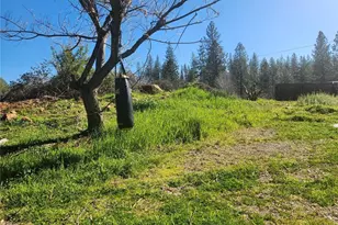 9366 Ranger Trail, Oregon House, CA 95962 - Photo 39