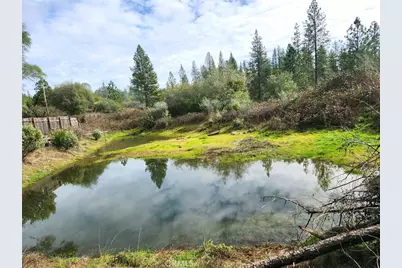 9366 Ranger Trail, Oregon House, CA 95962 - Photo 3