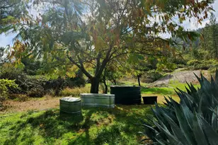 9366 Ranger Trail, Oregon House, CA 95962 - Photo 5