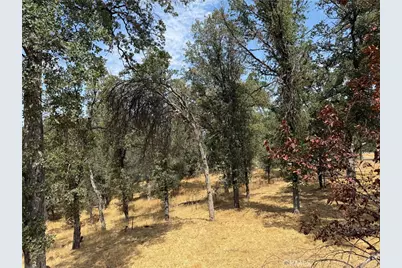 16185 16125 Caribou, Cottonwood, CA 96022 - Photo 19