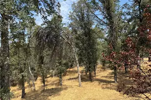 16185 16125 Caribou, Cottonwood, CA 96022 - Photo 19