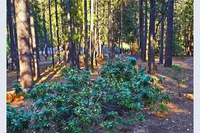 38 Weiss Hill Road, Oroville, CA 95966 - Photo 25