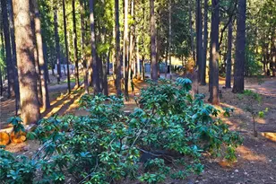 38 Weiss Hill Rd, Oroville, CA 95966 - Photo 25