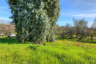 2454 Oro Quincy, Oroville, CA 95966 - Photo 43