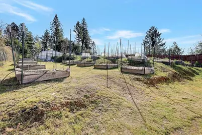 11595 Miller Peak, Oroville, CA 95965 - Photo 59