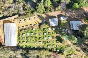 11595 Miller Peak, Oroville, CA 95965 - Photo 67