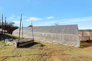 11595 Miller Peak, Oroville, CA 95965 - Photo 57