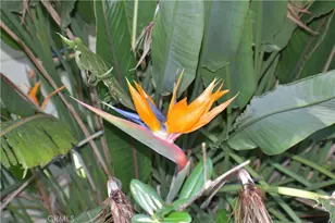 18 Oak Hill, Oroville, CA 95966 - Photo 49